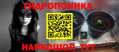 PSILOCYBIN Лесосибирск