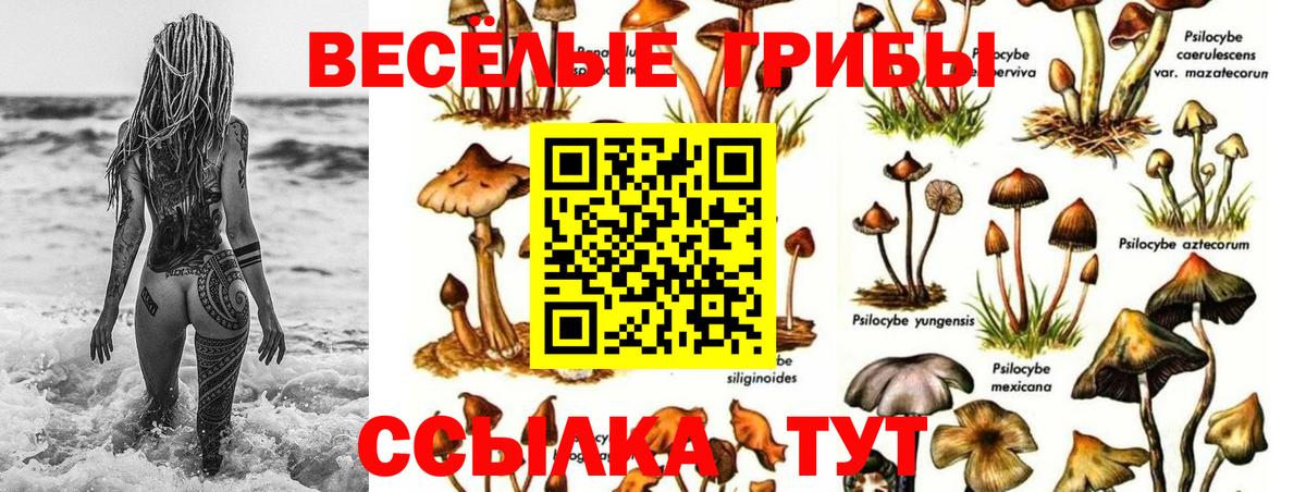 Галлюциногенные грибы ЛСД  Вход с VPN  Южноуральск 