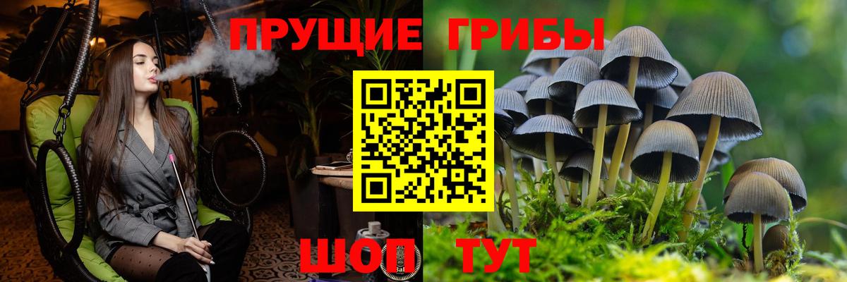 Псилоцибиновые грибы MAGIC MUSHROOMS Южноуральск